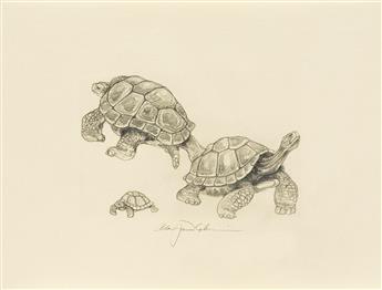 (CHELONIIDAE PRESS.) Lawrence, D. H. Tortoises.